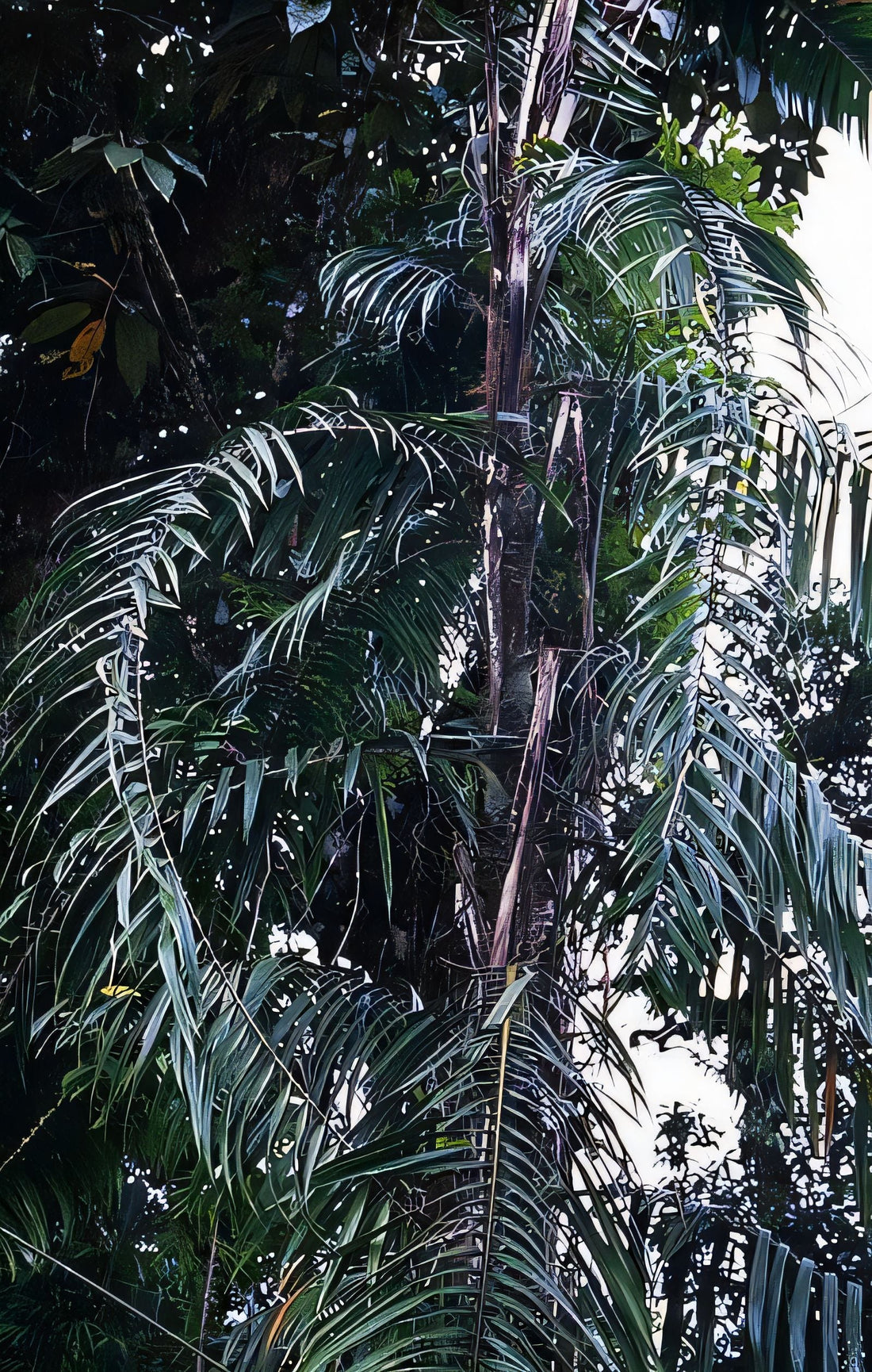 Calamus eximius: A comprehensive Growing Guide for Enthusiasts &  Collectors.