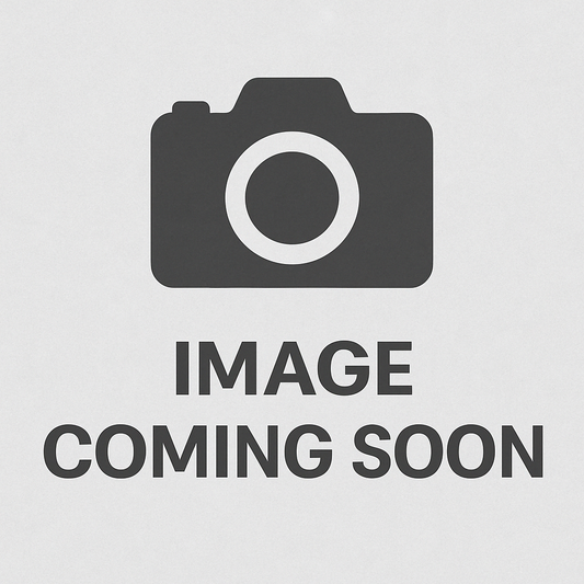 Dypsis curtisii: A comprehensive Growing Guide for Enthusiasts &  Collectors.