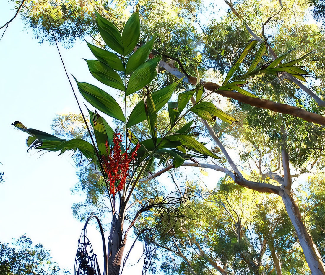 Chamaedorea neurochlamys