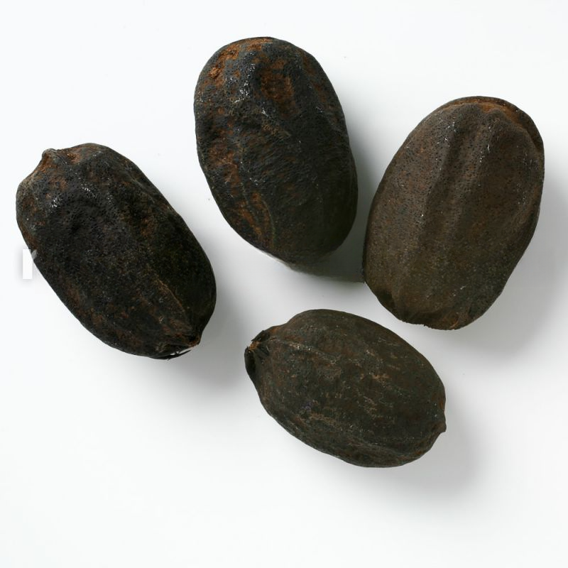 Bismarckia nobilis 'Silver'-seeds