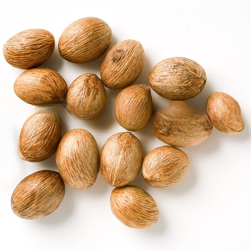 Roystonea borinquena  Puerto Rican Royal Palm-seeds