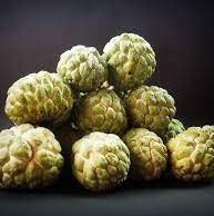 Annona squamosa – Sugar Apple (Sweetsop) – Plant 20–30 cm | VIRIAR.COM